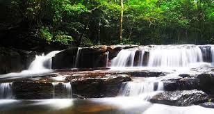 Description: Khám phá “Suối Tranh Phú Quốc” Thơ mộng, trữ tình giữa núi rừng ...
