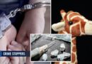 Châu Tô: Phụ nữ Albion bị buộc tội buôn bán ma túy liên quan đến tội phạm có tổ chức
