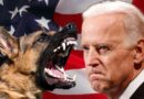 Chó cưng của Joe Biden tiếp tục cắn mật vụ
