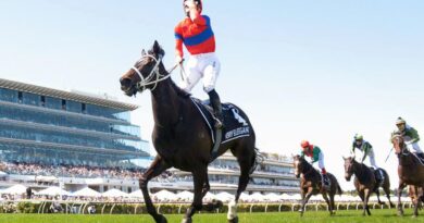 ‘Vô cùng đau buồn’: Ngựa vô địch Melbourne Cup 2021 Verry Elleegant qua đời khi sinh con