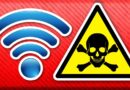 Hướng dẫn 5 cách hạn chế rủi ro khi sử dụng WiFi miễn phí