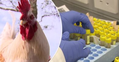 Australian Government delivering additional $95 million to fight avian influenza