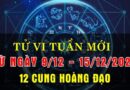 Tử vi tuần mới từ 9-15/12/24 của 12 cung hoàng đạo: Song Tử tỏa sáng, Song Ngư an lành