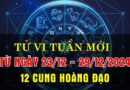 Tử vi tuần mới từ 23-29/12/24 của 12 cung hoàng đạo