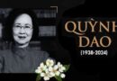 Chút Suy Tư Về Quỳnh Dao