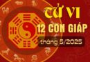 Tử vi 12 con giáp Tháng 5/2025 về tài chính, công việc và tình cảm