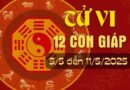 Tử vi tuần mới từ ngày 5-11/5/25 của 12 con giáp