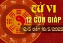 Tử vi tuần mới từ ngày 12-18/5/25 của 12 con giáp