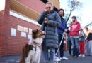 Claims of low voter turnout in federal election jump the gun