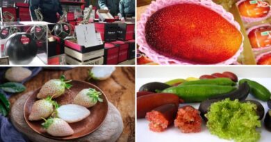 Những loại quả đắt nhất hành tinh, có tiền mua cũng khó