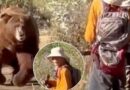 Video: Đang đi bộ thì chạm mặt con gấu to lớn, khoảnh khắc đối đầu khiến ai xem cũng thót tim