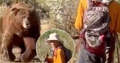 Video: Đang đi bộ thì chạm mặt con gấu to lớn, khoảnh khắc đối đầu khiến ai xem cũng thót tim