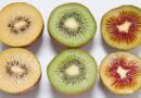 Hành trình khó tin của kiwi, từ cây dại Trung Quốc đến trái cây toàn cầu