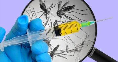 Úc phát triển thành công vắc-xin sốt rét không cần bảo quản lạnh