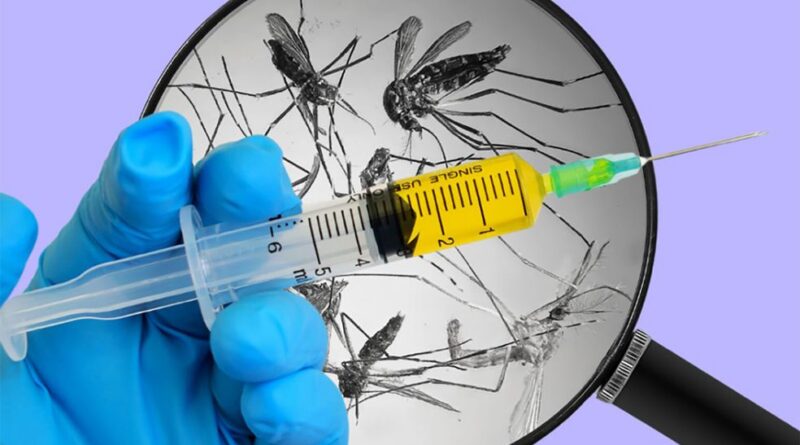 Úc phát triển thành công vắc-xin sốt rét không cần bảo quản lạnh