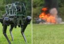Mỹ đặt hàng chó robot trang bị vũ khí từ Úc để thử nghiệm thực địa