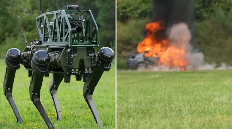 Mỹ đặt hàng chó robot trang bị vũ khí từ Úc để thử nghiệm thực địa