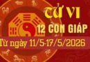 Tử vi tuần mới từ ngày 11/5-17/5/26 của 12 con giáp