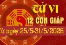 Tử vi tuần mới từ ngày 25/5-31/5/26 của 12 con giáp