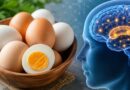 Ăn trứng thường xuyên có thể giúp giảm nguy cơ mắc bệnh Alzheimer