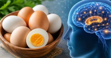Ăn trứng thường xuyên có thể giúp giảm nguy cơ mắc bệnh Alzheimer Ăn trứng thường xuyên có thể giúp giảm nguy cơ mắc bệnh Alzheimer