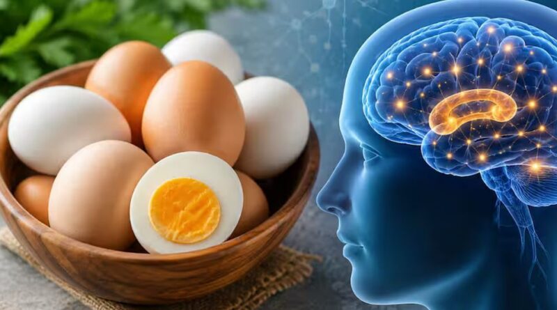 Ăn trứng thường xuyên có thể giúp giảm nguy cơ mắc bệnh Alzheimer Ăn trứng thường xuyên có thể giúp giảm nguy cơ mắc bệnh Alzheimer