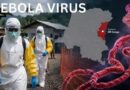 WHO cảnh báo khẩn cấp bùng dịch Ebola: Đáng ngại đến đâu?