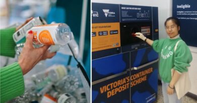 Ha Nguyen: CDS Vic brings neighbours together Ha Nguyen: CDS Vic brings neighbours together