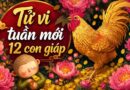 Tử vi tuần mới 12 con giáp 22/6-28/6