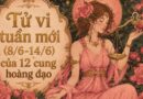 Tử vi tuần mới 12 cung hoàng đạo 8/6-14/6/26 Tử vi tuần mới 12 cung hoàng đạo 8/6-14/6/26