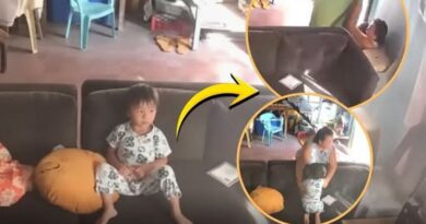 VIDEO: Người bà lao nhanh trong động đất Philippines, lấy thân mình bảo vệ cháu