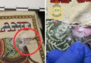 Tiếp viên hãng hàng không bị buộc tội vận chuyển heroin vào Melbourne Tiếp viên hãng hàng không bị buộc tội vận chuyển heroin vào Melbourne