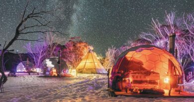 THE ARCTIC BIT —COME WINTER IN VICTORIA THE ARCTIC BIT —COME WINTER IN VICTORIA