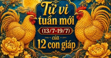 Tử vi tuần mới 12 con giáp 13/7-19/7 Tử vi tuần mới 12 con giáp 13/7-19/7