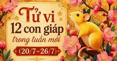 Tử vi tuần mới 12 con giáp 20/7-26/7 Tử vi tuần mới 12 con giáp 20/7-26/7