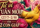Tử vi tuần mới 12 con giáp 27/7-2/8