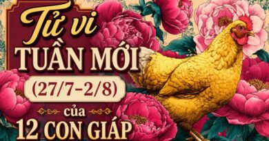 Tử vi tuần mới 12 con giáp 27/7-2/8 Tử vi tuần mới 12 con giáp 27/7-2/8