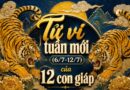 Tử vi tuần mới 12 con giáp 6/7-12/7