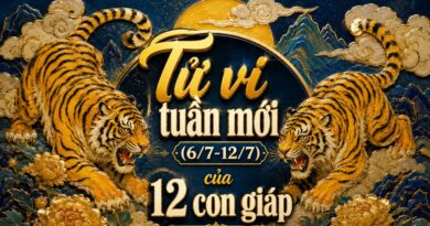 Tử vi tuần mới 12 con giáp 6/7-12/7 Tử vi tuần mới 12 con giáp 6/7-12/7