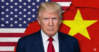 Những Hậu Quả Dài Hạn Của Quan Thuế 12,5% Đối Với Việt Nam Những Hậu Quả Dài Hạn Của Quan Thuế 12,5% Đối Với Việt Nam
