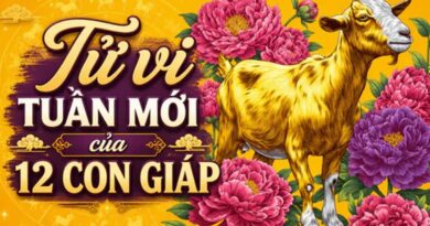 Tử vi tuần mới 12 con giáp 24/8-30/8 Tử vi tuần mới 12 con giáp 24/8-30/8