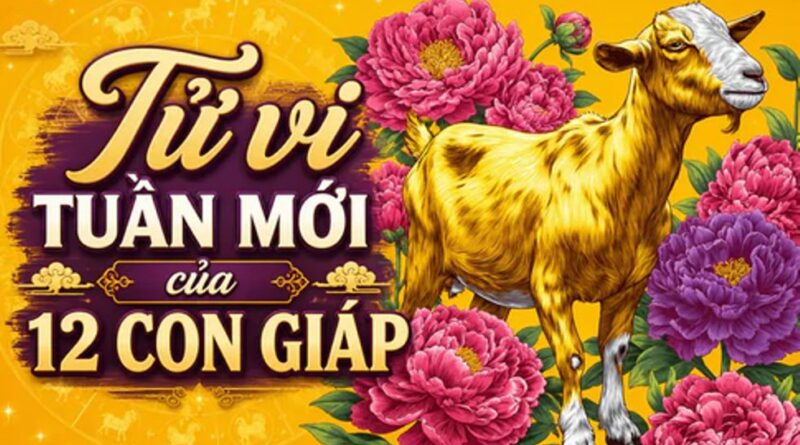 Tử vi tuần mới 12 con giáp 24/8-30/8 Tử vi tuần mới 12 con giáp 24/8-30/8