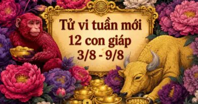 Tử vi tuần mới 12 con giáp 3/8-9/8 Tử vi tuần mới 12 con giáp 3/8-9/8
