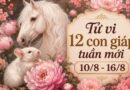 Tử vi tuần mới 12 con giáp từ 10/8-16/8