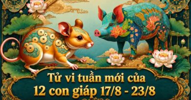 Tử vi tuần mới 12 con giáp từ 17/8-23/8