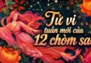 Tử vi tuần mới 12 cung hoàng đạo 24/8-30/8 Tử vi tuần mới 12 cung hoàng đạo 24/8-30/8