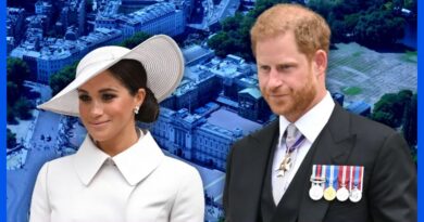 Lý do Harry và Meghan đột ngột về Anh Lý do Harry và Meghan đột ngột về Anh