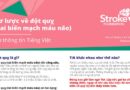 National Stroke Week 3-9 August: Sơ lược về đột quỵ (tai biến mạch máu não)