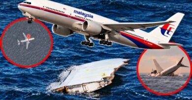 Nhiều mảnh vỡ máy bay MH370 đã được tìm thấy hé lộ bí mật không tưởng? Nhiều mảnh vỡ máy bay MH370 đã được tìm thấy hé lộ bí mật không tưởng?