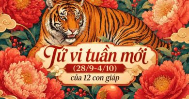 Tử vi tuần mới 12 con giáp từ 28/9-4/10 Tử vi tuần mới 12 con giáp từ 28/9-4/10